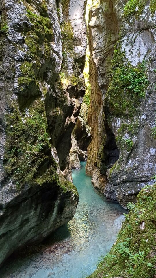 Tolminska korita