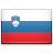 Slovenski flag