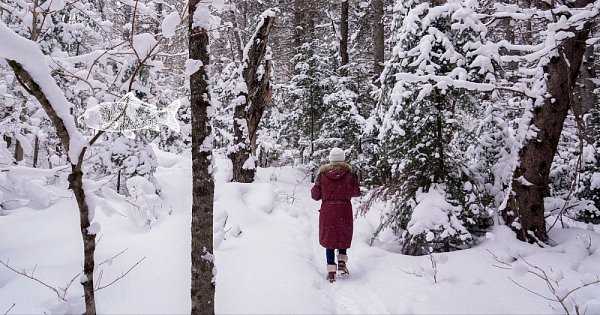 Sakra, jdu vypotit kapra 2024