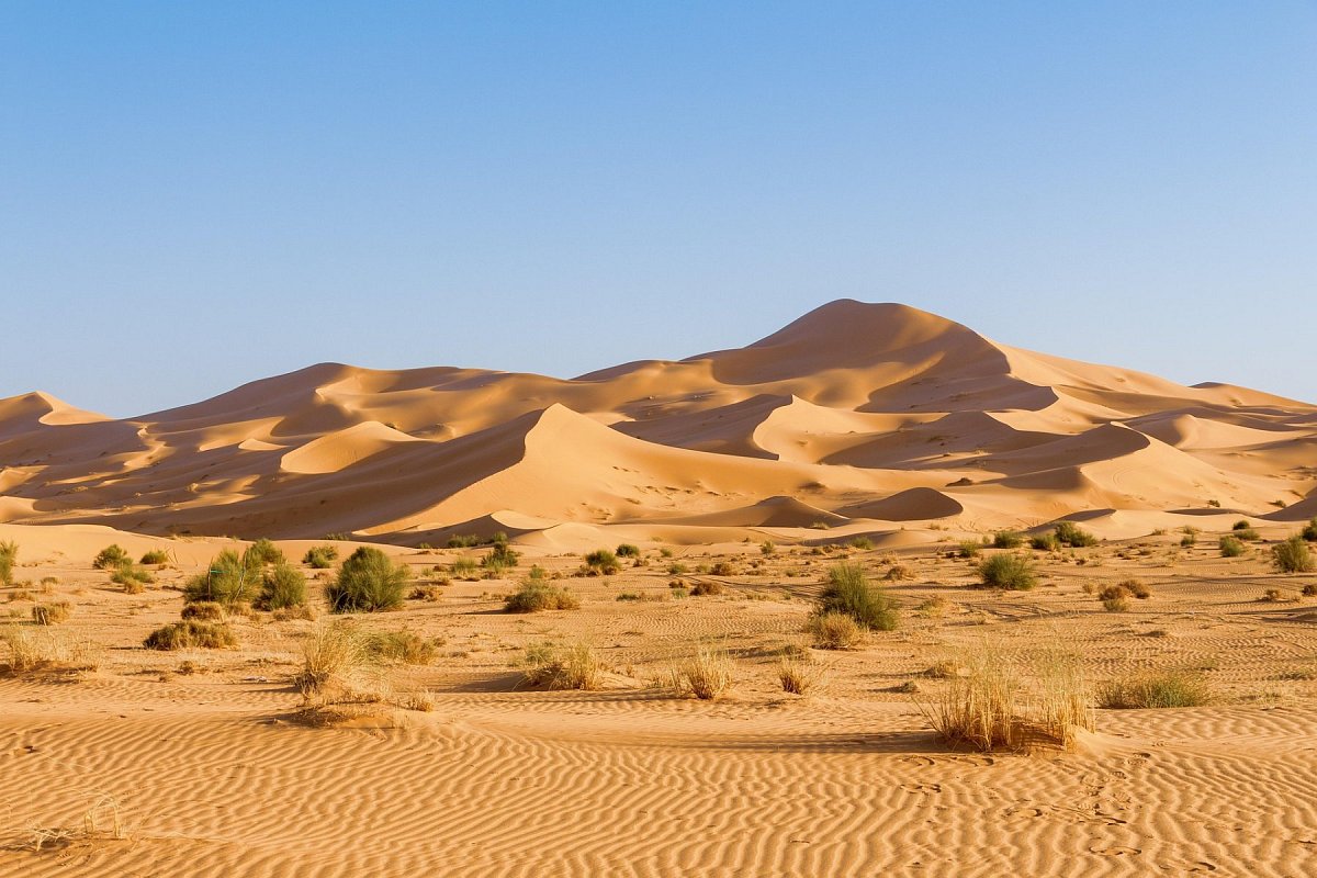 Zapadna Sahara