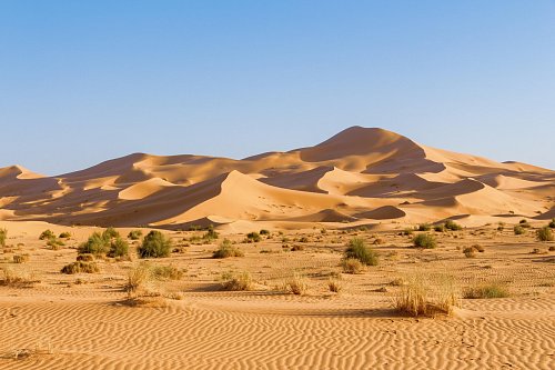 Zapadna Sahara