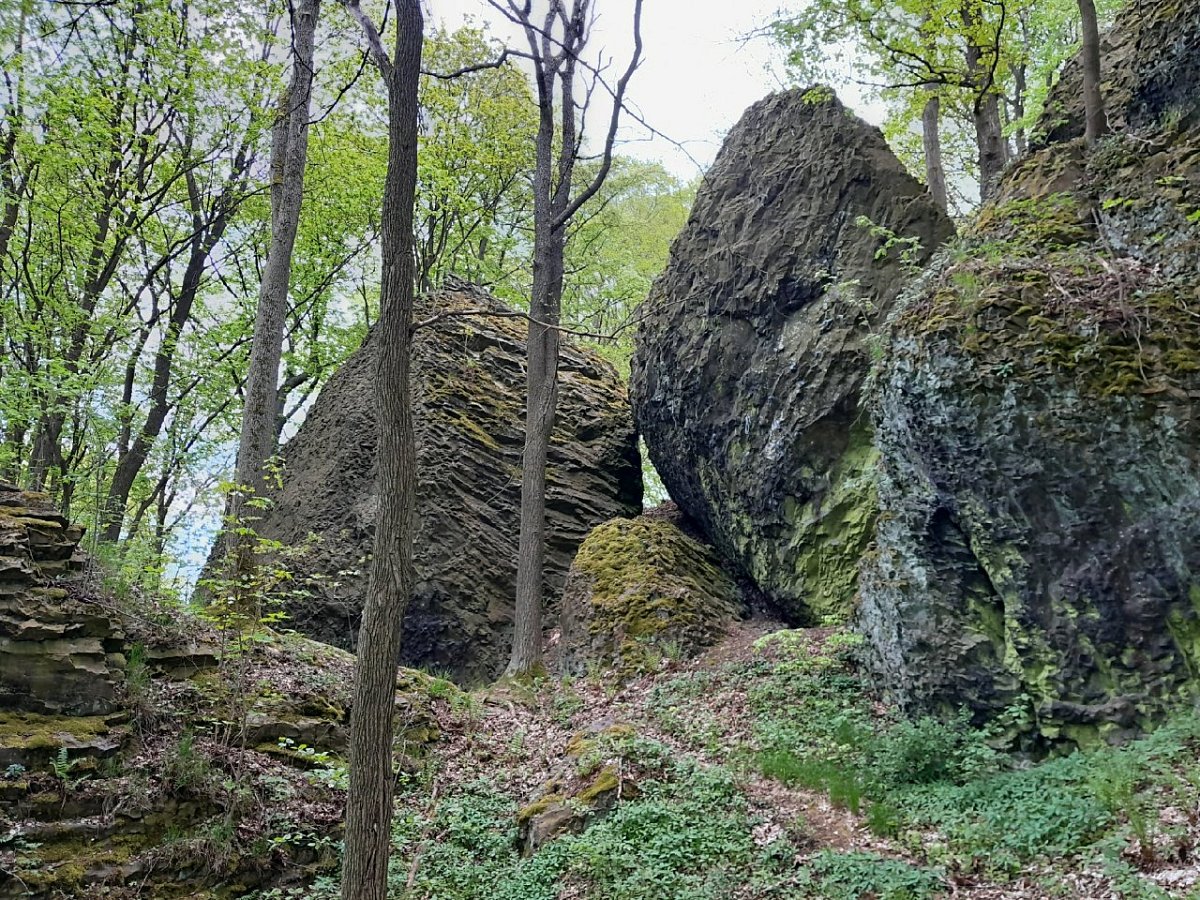 Chotovický vrch (498&nbsp;m)