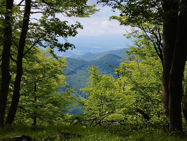 Košiarka