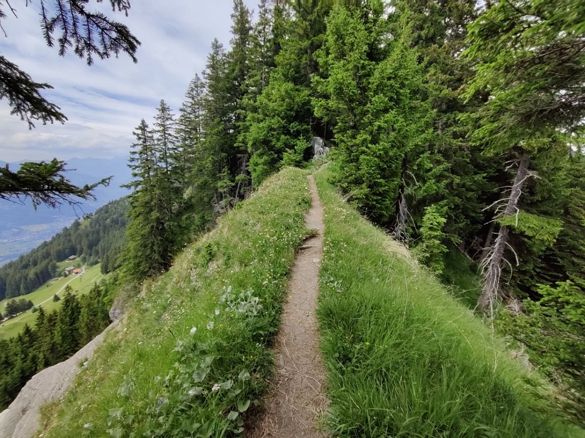 Plattenspitz (1702&nbsp;m)
