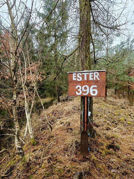 Ester