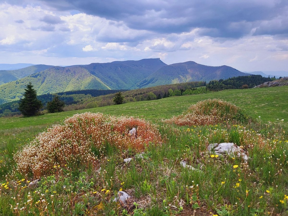 Skalky (1191&nbsp;m)