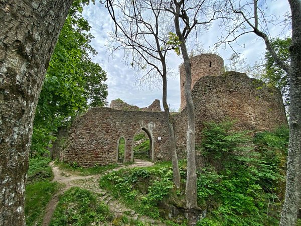 Valdek