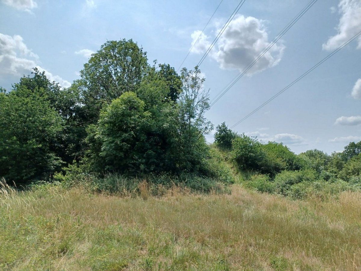 Paśnik (250&nbsp;m)
