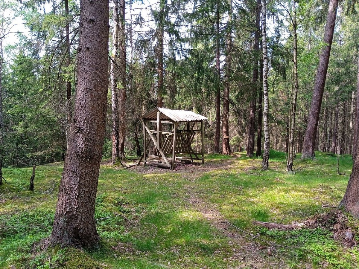 Panská rozhledna (655&nbsp;m)