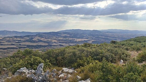 Κατσίκας