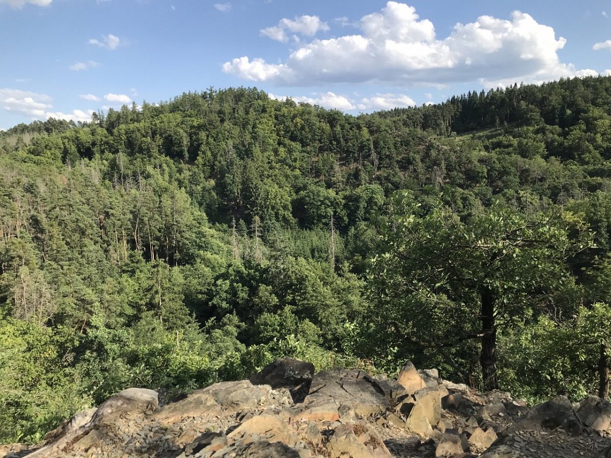 Na Hrádku (293&nbsp;m)