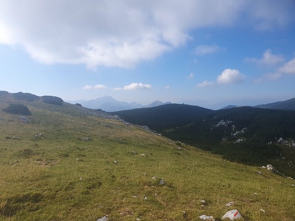 Kamnitnik