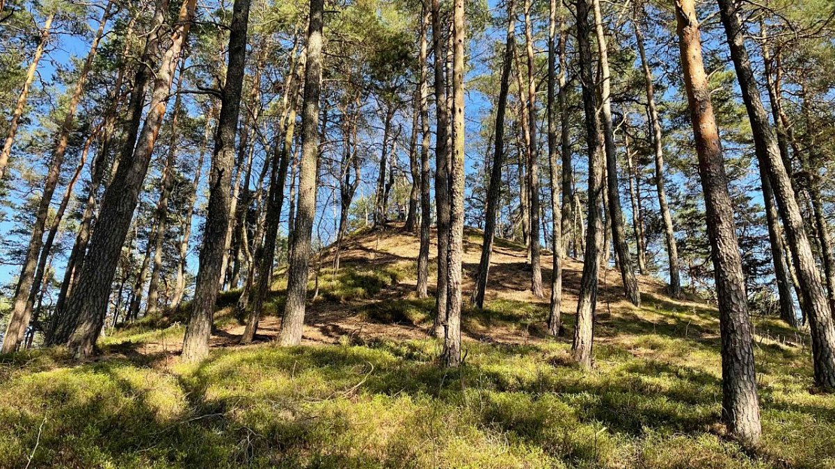 Ostrá horka (552&nbsp;m)