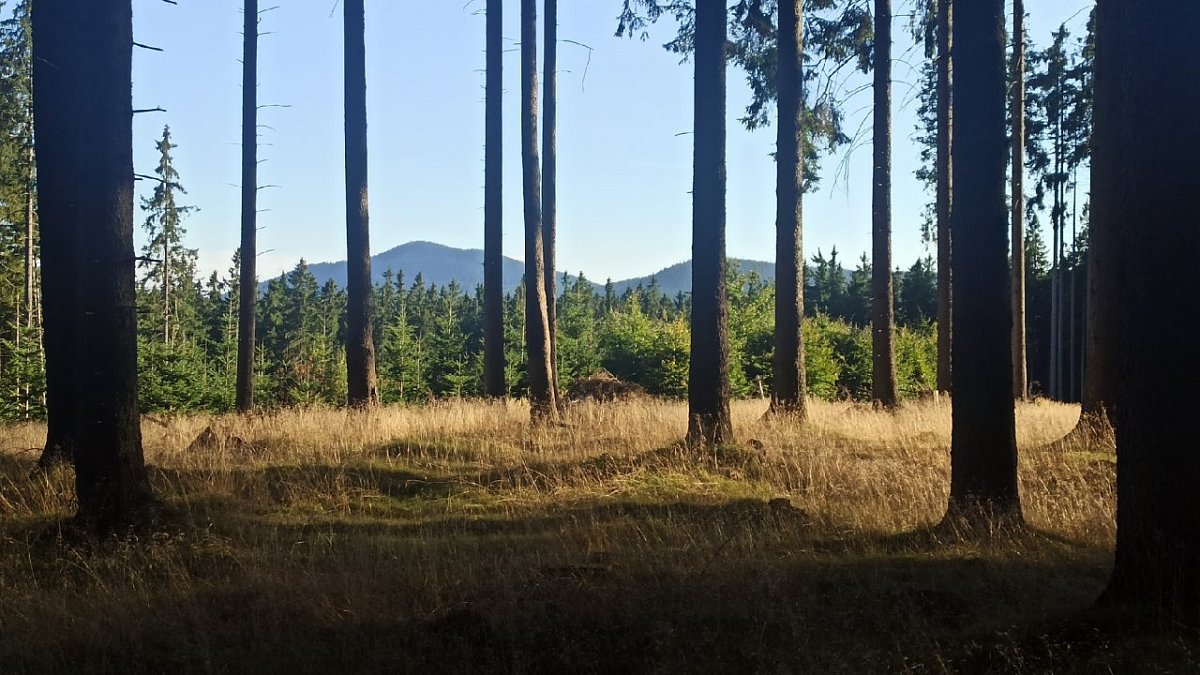 V Oboře (1006&nbsp;m)