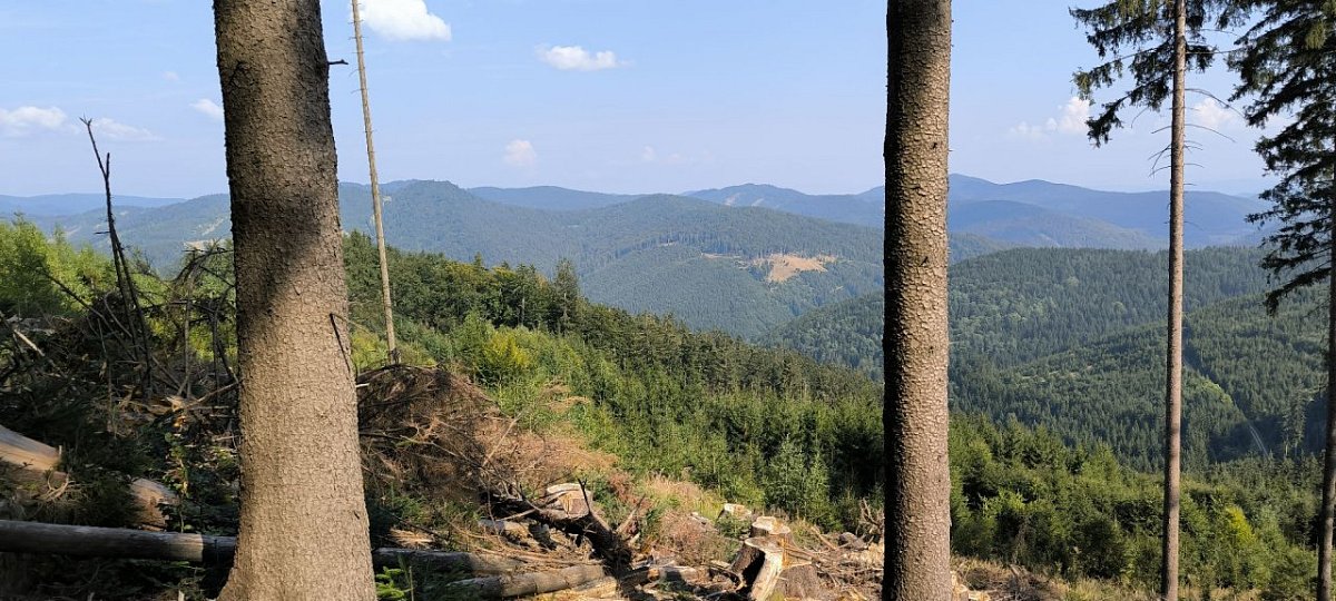 Kopšovec (886&nbsp;m)