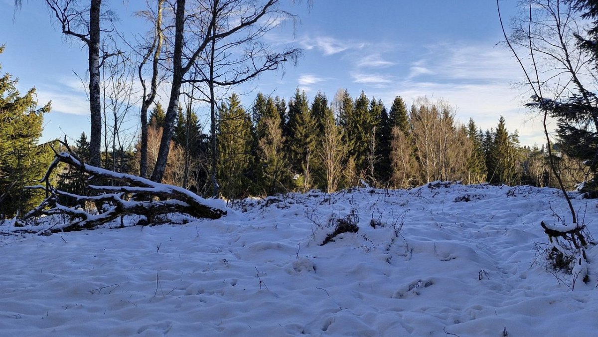 Eliška (753&nbsp;m)