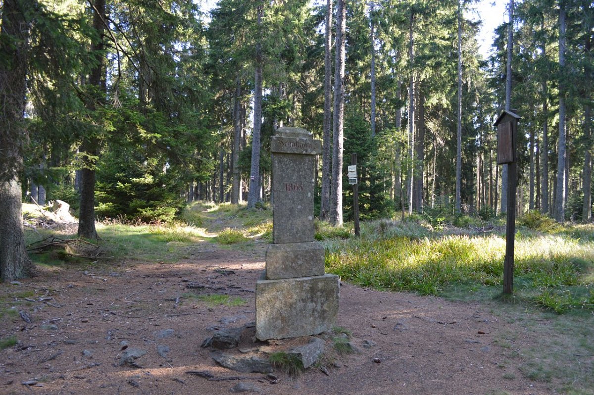 Srní vrch (1296&nbsp;m)