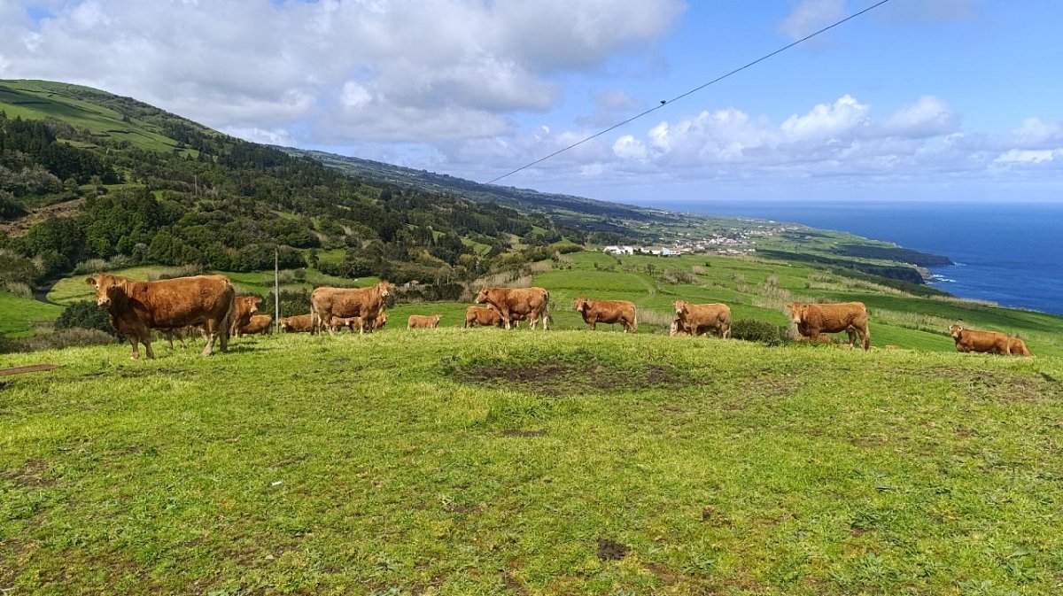 Lomba dos Espalhafatos (311&nbsp;m)