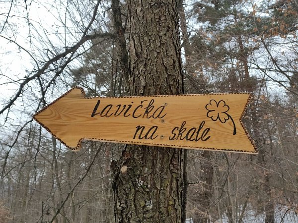 Upohlavská skala