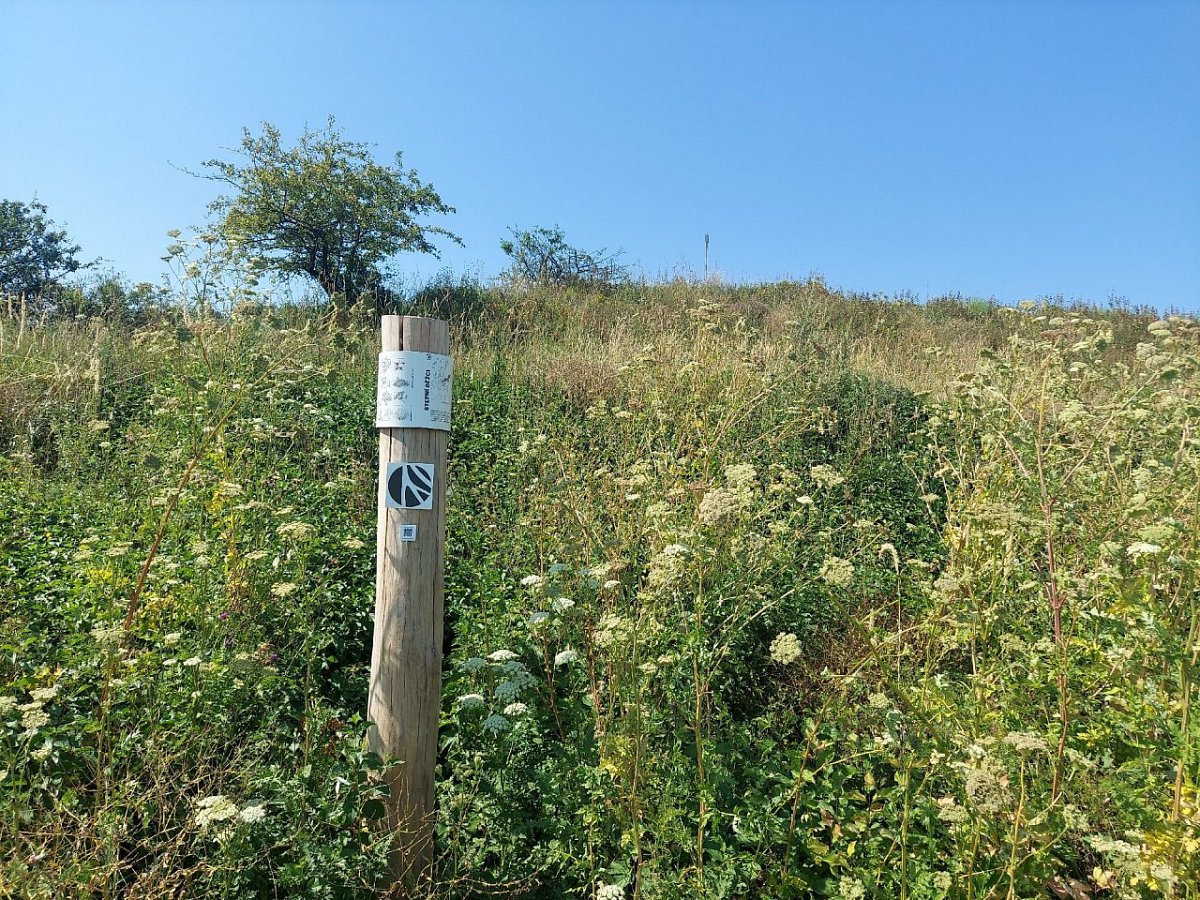Jánská hora (281&nbsp;m)