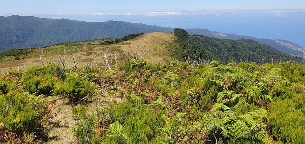 Pedreira