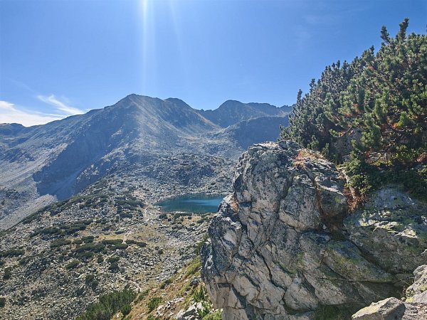 Алеко