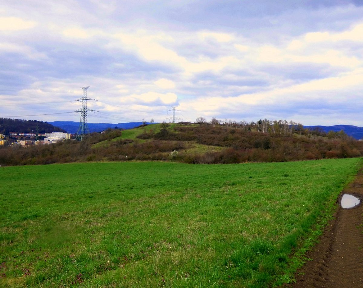 Bystřický kopec (356&nbsp;m)