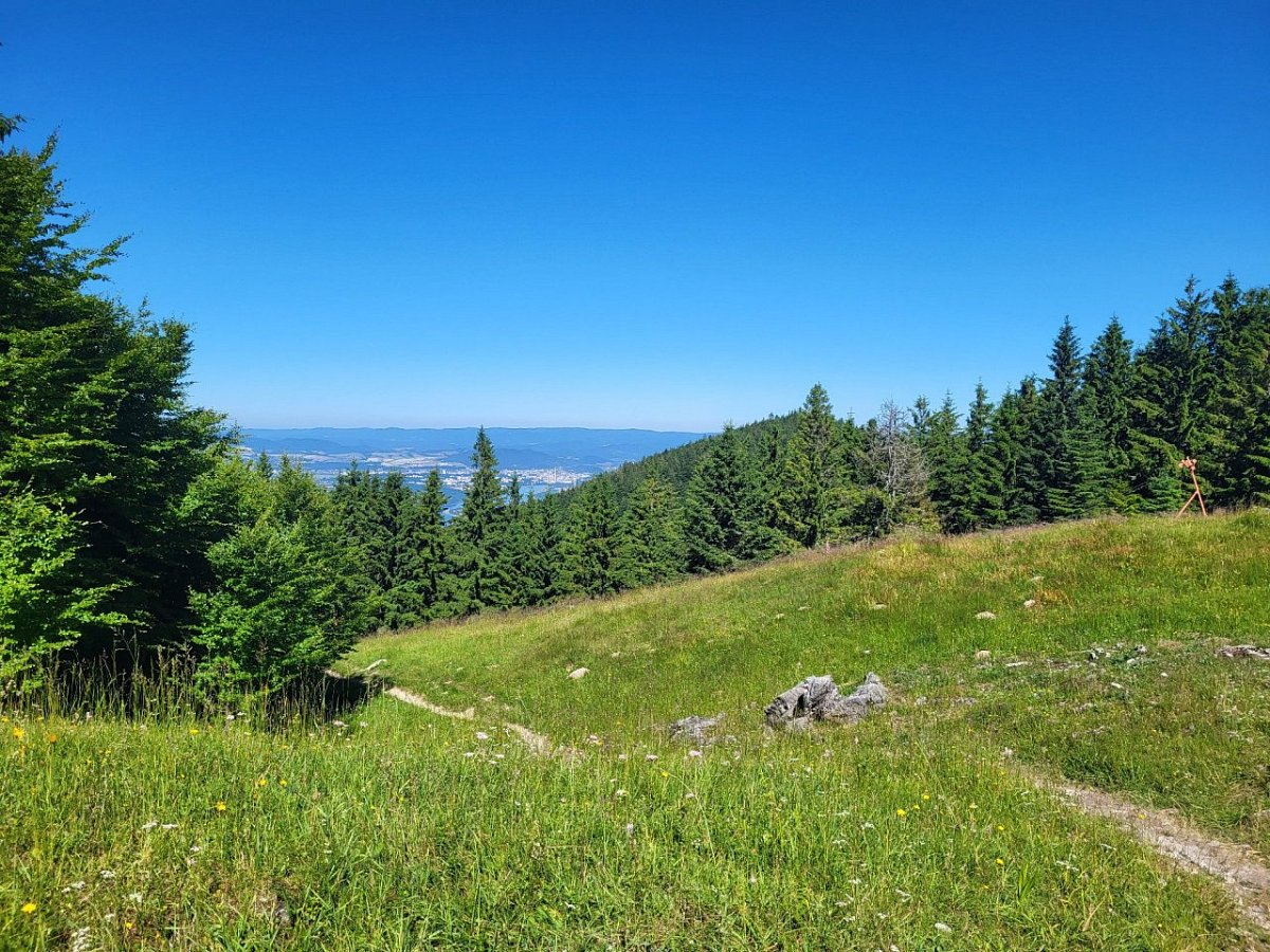 Javorina (1140&nbsp;m)