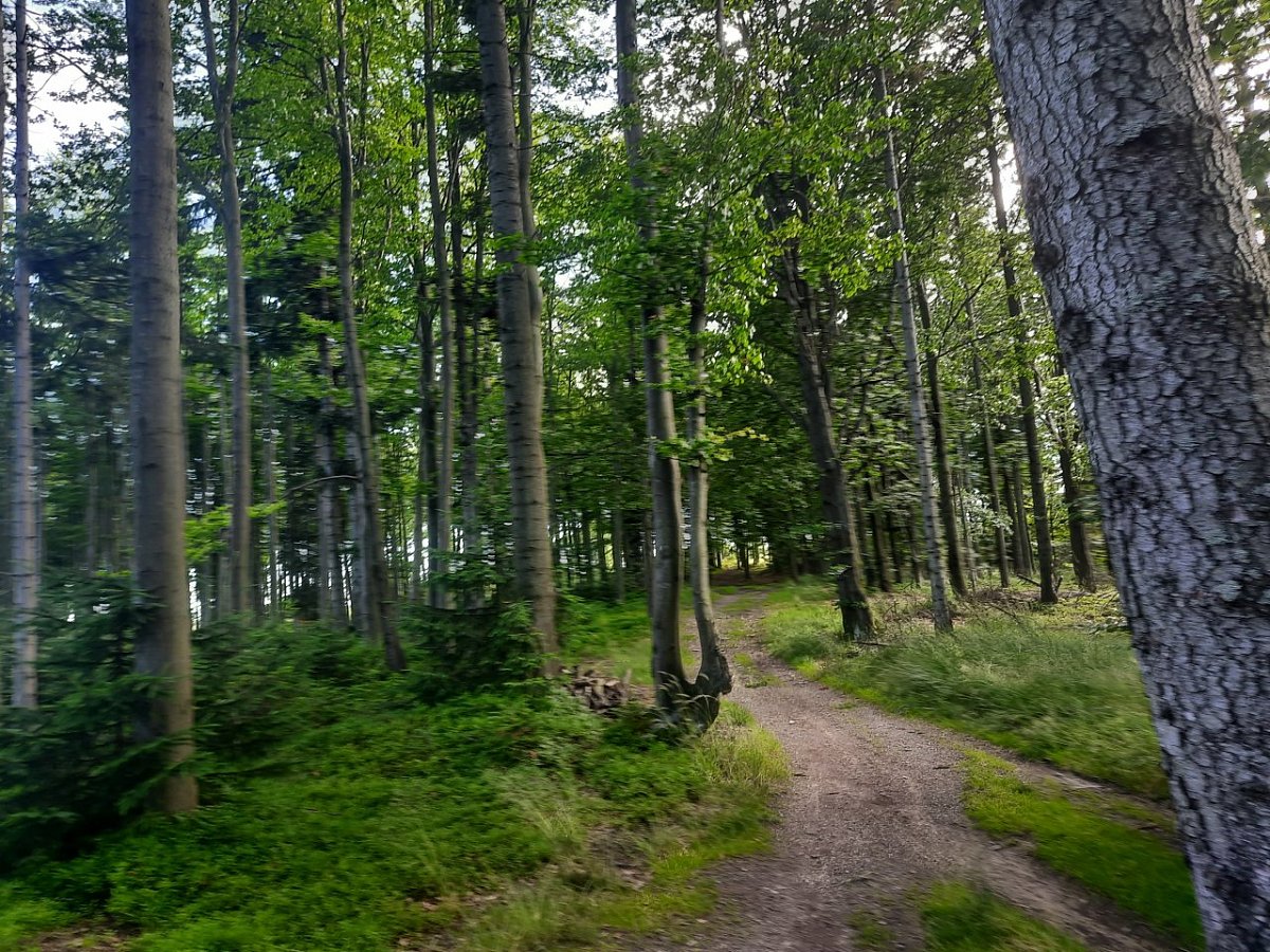 Beskid (759&nbsp;m)