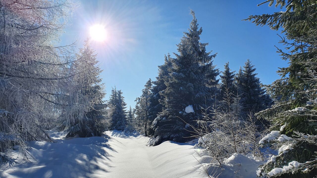 Pestrý (875&nbsp;m)