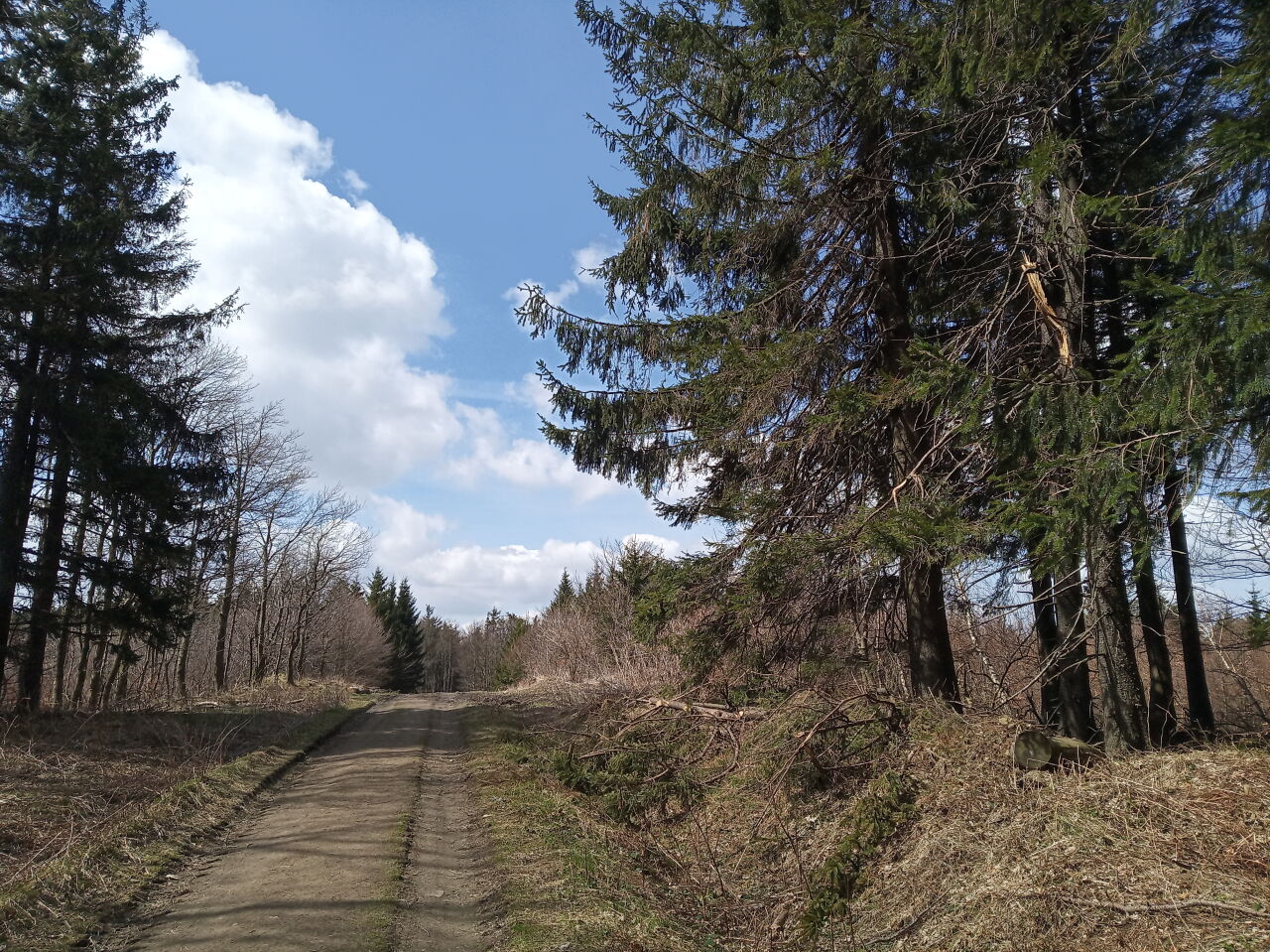 Kobylec