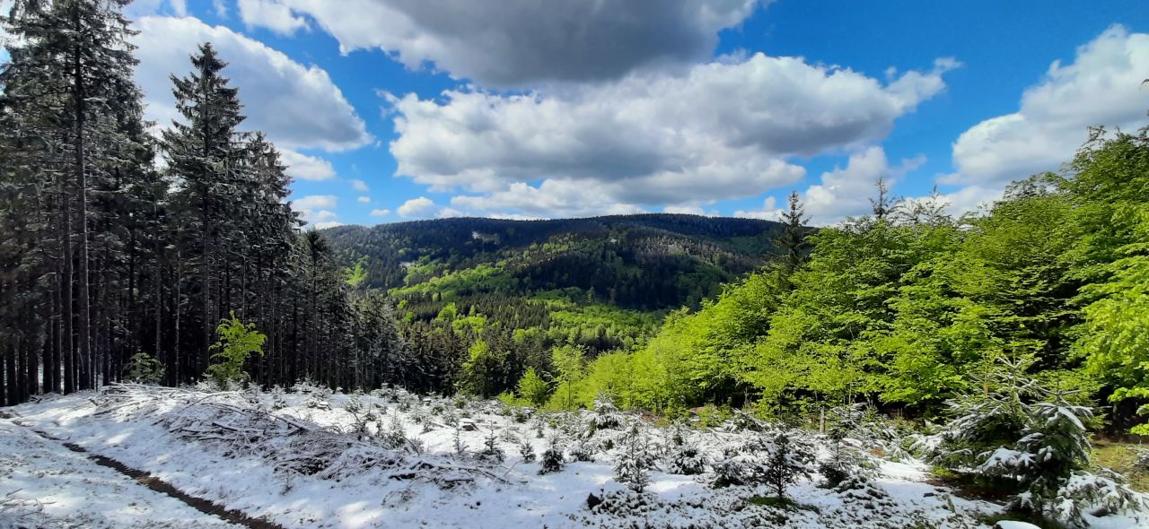 Vápenný (790&nbsp;m)