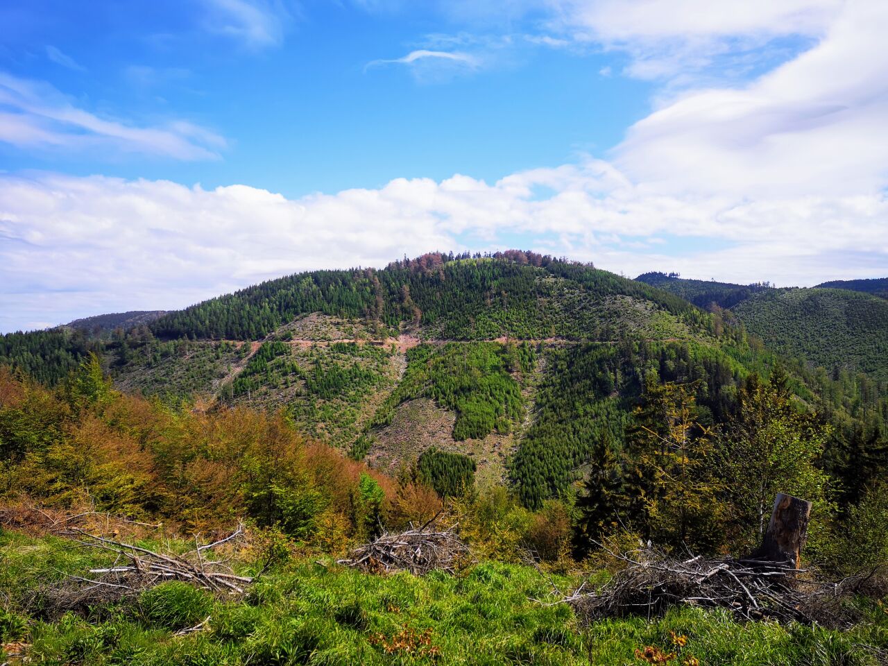 Obírka