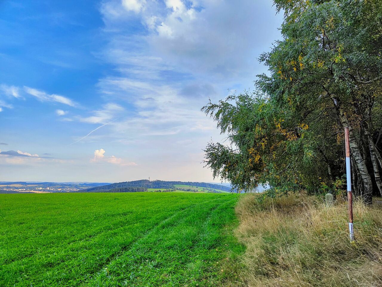 Bednářův kopec