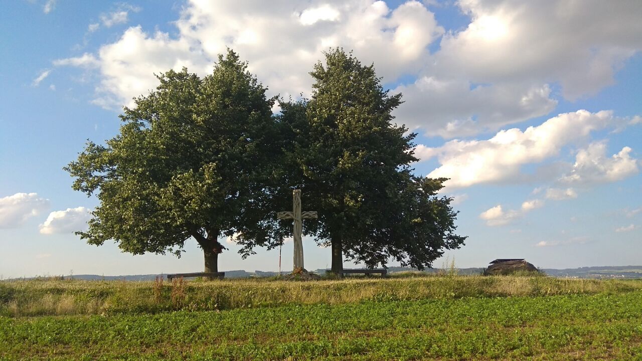 Vejdoch