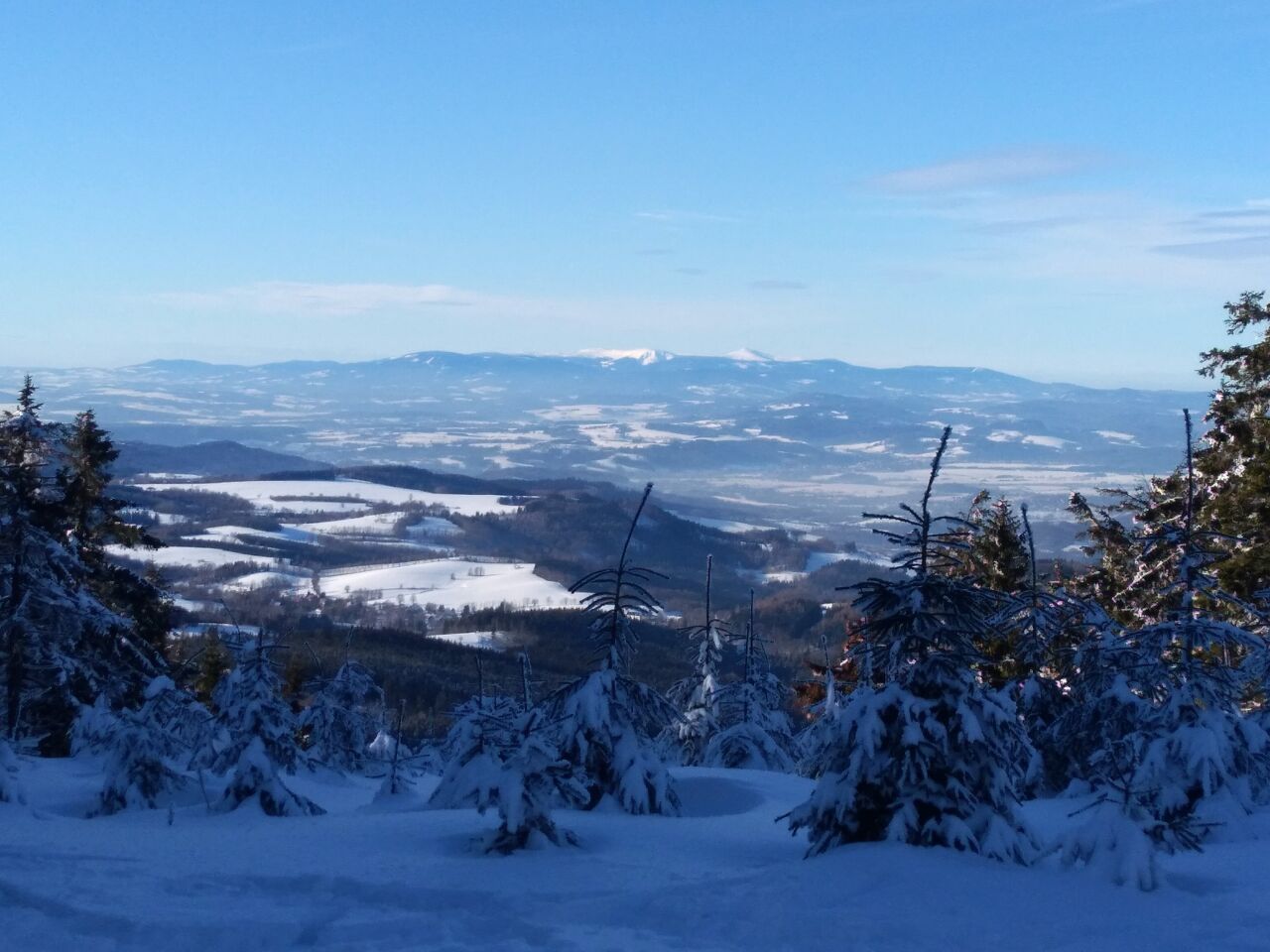 Polomský kopec (1051&nbsp;m)