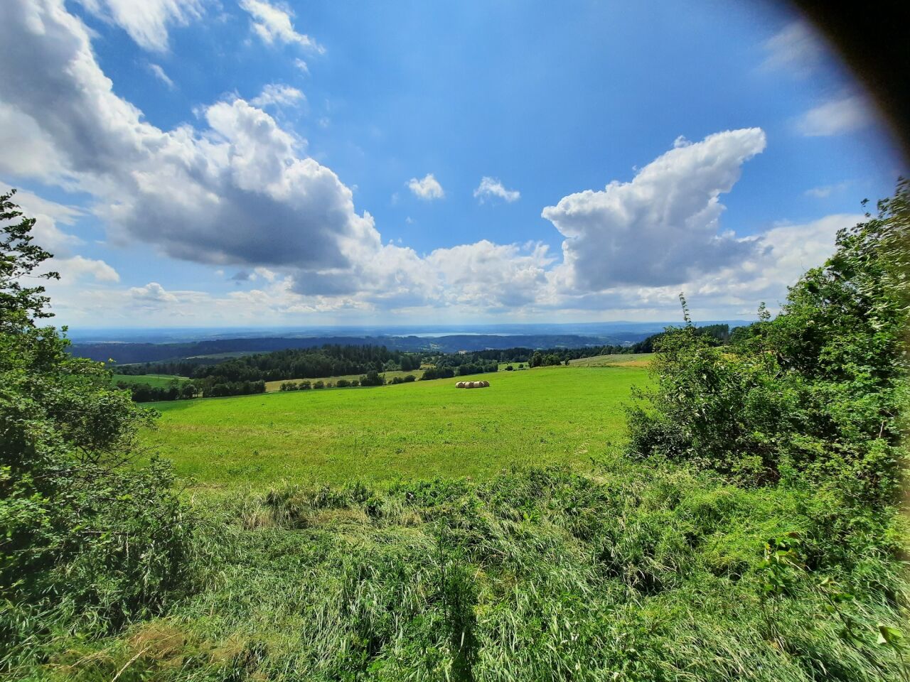 Dobrošov