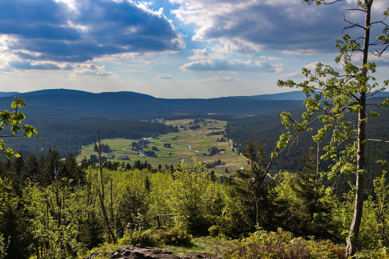 Bukovec (1005&nbsp;m)