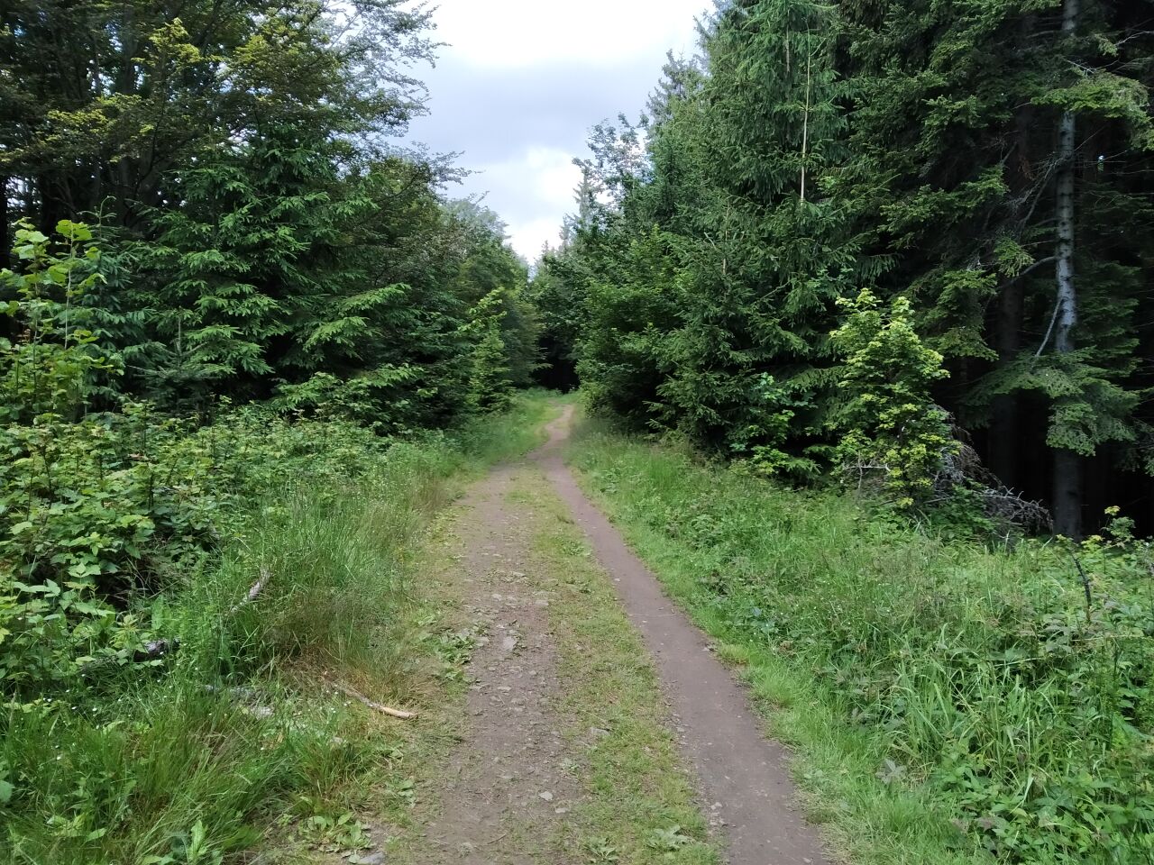 Stolečný vrch / Stolečný