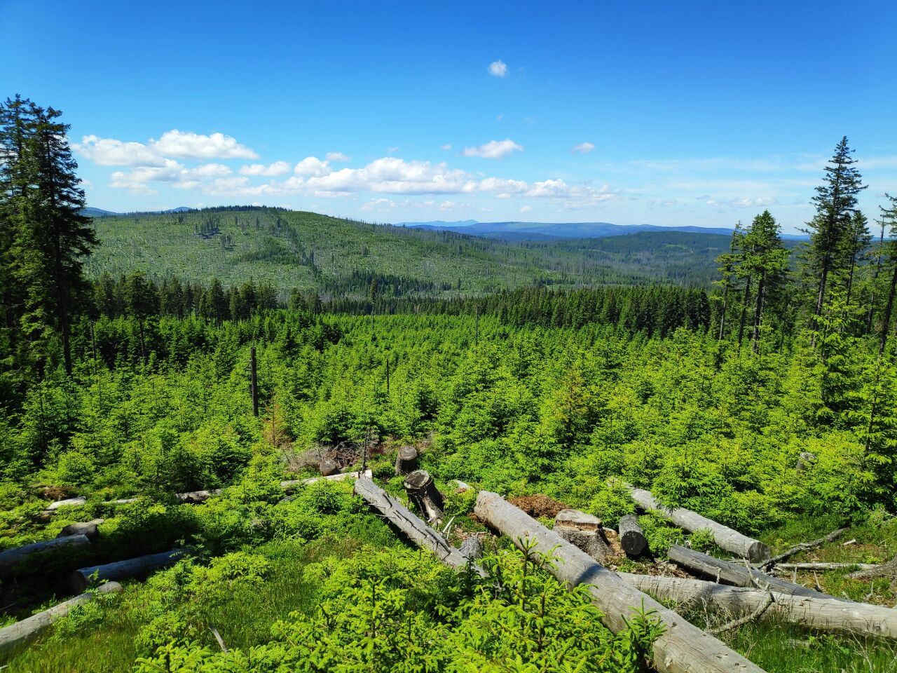 Stráž (1308&nbsp;m)