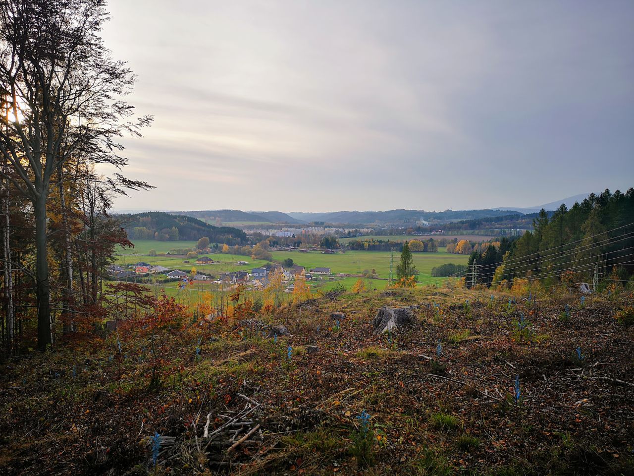 Bučina (521&nbsp;m)
