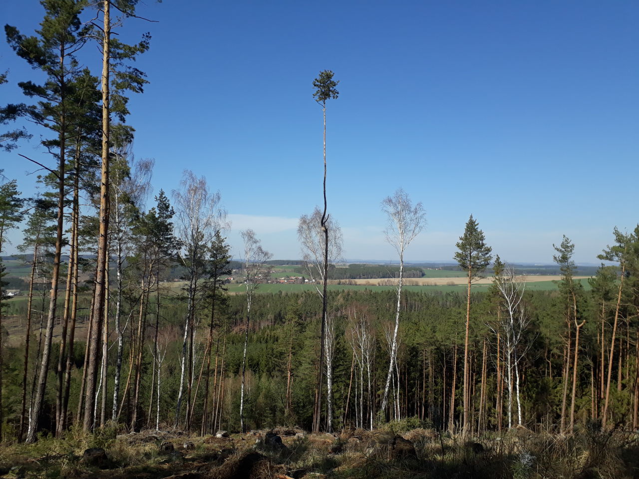 Chlum (510&nbsp;m)